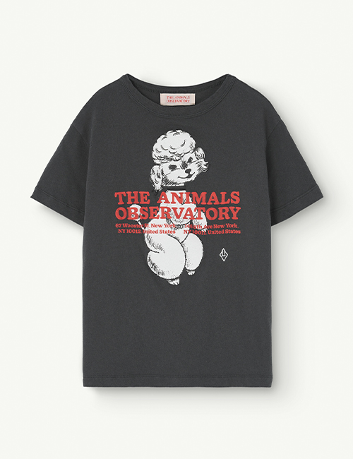 [The Animals Observatory]  ROOSTER KIDS T-SHIRT Black